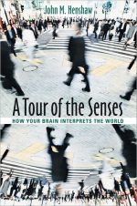 A Tour of the Senses: How Your Brain Interprets the World