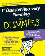 IT Disaster Recovery Planning for Dummies
