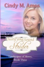 Justifying Sound Strider