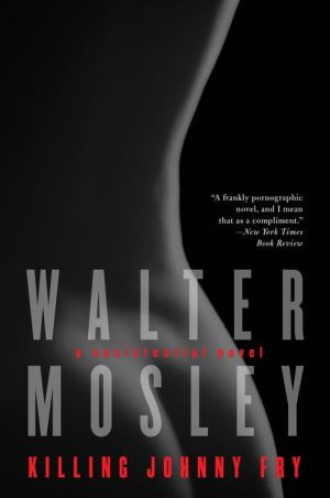 Killing Johnny Fry: A Sexistential Novel