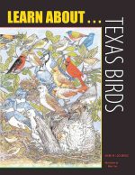Learn About Texas Birds