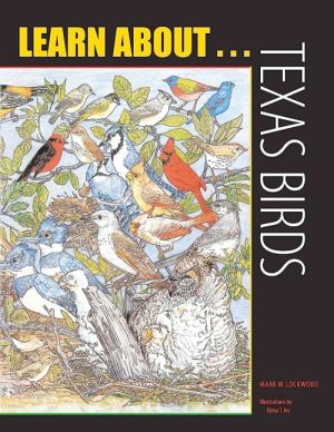 Learn About Texas Birds