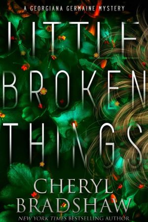 Little Broken Things