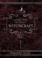 Llewellyn's Little Book of Witchcraft