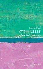 Stem Cells