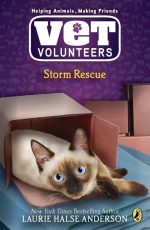 Storm Rescue