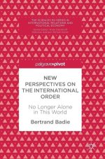 New Perspectives on the International Order
