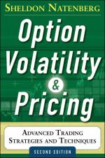 Option Volatility & Pricing