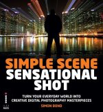 Simple Scene, Sensational Shot