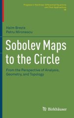 Sobolev Maps to the Circle