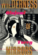 Wilderness of Mirrors