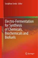 Electro-Fermentation for Synthesis of Chemicals, Biochemicals and Biofuels