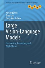 Large Vision-Language Models: Pre-Training, Prompting, and Applications