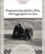 Programming Spiders, Bots, and Aggregators in Java