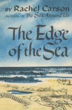 The Edge of the Sea