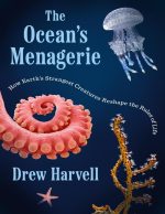 The Ocean's Menagerie: How Earth's Strangest Creatures Reshape the Rules of Life
