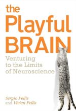 The Playful Brain: Venturing to the Limits of Neuroscience
