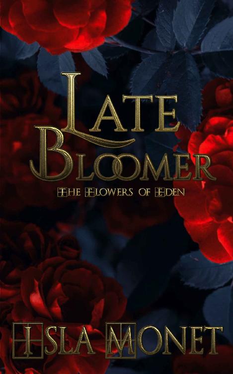 Late Bloomer Late Bloomer