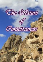The Nature of Consciousness